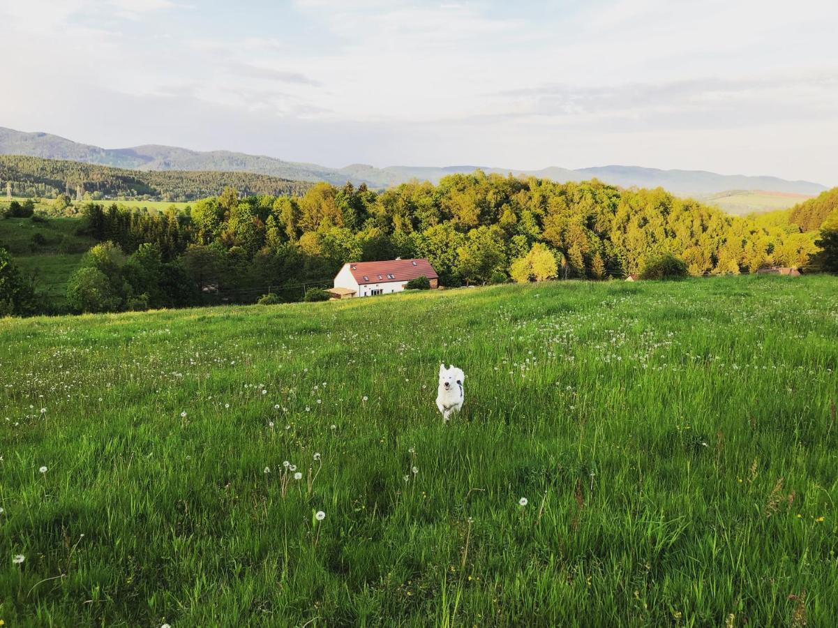 Zapomnienie Nowa Ruda Exterior foto